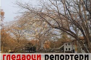 Гледаоци репортери (10. децембар 2022)