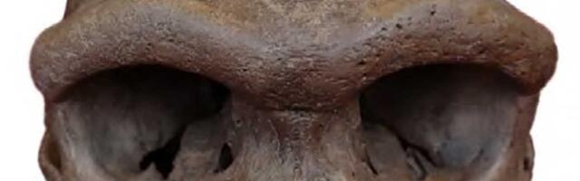 Najveća misterija ljudske evolucije počela je da se raspliće