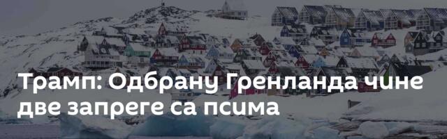 Трамп: Одбрану Гренланда чине две запреге са псима