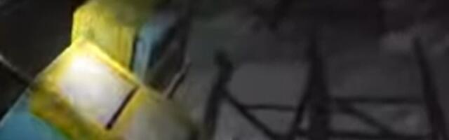 Poznatom bokserskom treneru uništen kompletan pčelinjak, sve pčele stradale: Policija istražuje slučaj