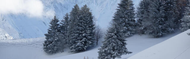 Pašće do 20 cm vlažnog snega, negde i više: Najnovije upozorenje RHMZ, upaljen i meteoalarm