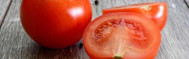 Naučnici u Kini razvili genetski modifikovan paradajz sa aromom kokica