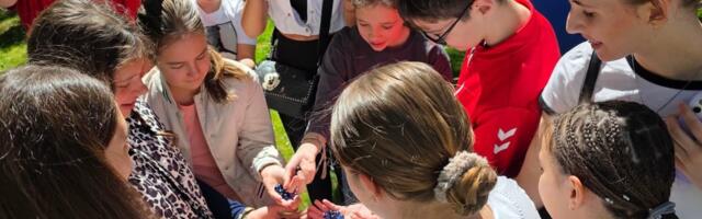 Aj' u park na pajčiki: Održan jedan od pratećih programa Festivala Pajče FOTO