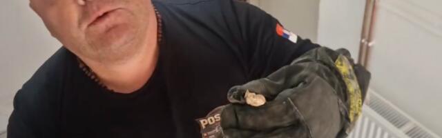 Pogledajte snimak hvatanja zmije otrvonice u jednoj kući u Vranju VIDEO