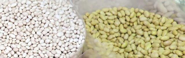 Namirnice koje jedu stogodišnjaci