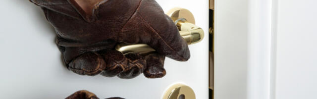 NESTANCI SU KRENULI PRED PRAZNIKE... U podrumima se dešava nešto što je zgranulo čitav komšiluk, OVO se našlo na meti lopova!