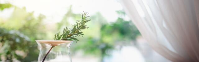 Grančica ruzmarina na prozoru može promeniti atmosferu u domu - evo zašto je ljudi sve češće koriste