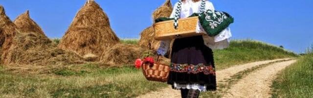 Žene čuvaju sela Srbije: Sve više njih pokreće biznise i osvaja evropsko tržište