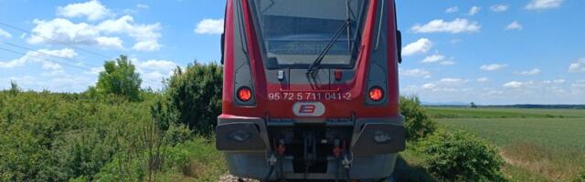 Driver survives collision with train on Belgrade - Bar railway!