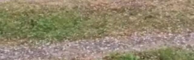 Nevreme se obrušilo na ovaj deo Srbije! Grad jako udara (VIDEO)