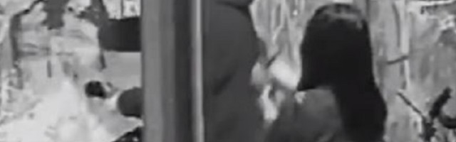 Par je upropastio izložbu moderne umetnosti vrednu 500.000 dolara na veoma bizaran način!