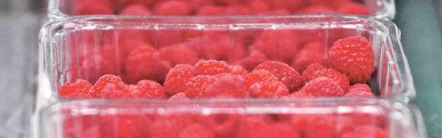 Српска малина распродата