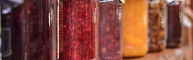 Vujadin i Kristina iz Srbije od šipurka napravili PRAVU ATRAKCIJU: Investicija koja upeva, a nagrade se nižu