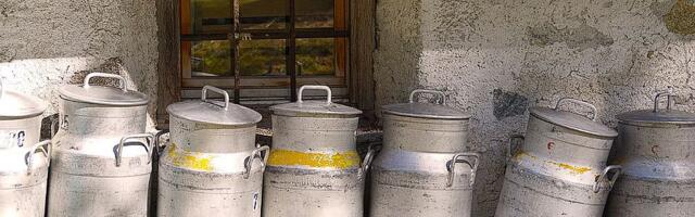 Ministarstvo: Uvodi se oznaka "100% odsto iz Srbije", uvode se prelevmani na mleko u prahu