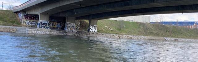 Naučnici u šoku: Na obali Nišave pronađeno biće za koje niko nije verovao da živi u Srbiji