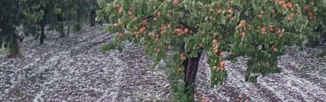 GRAD ZASUO ČAČAK I OKOLINU! Sve se zabelelo u nekoliko minuta - VOĆARI U ŠOKU! (FOTO)