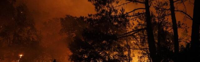 EVROPA U PLAMENU! Evakuisano desetine hiljada ljudi zbog STRAVIČNIH šumskih požara, vatrena stihija GUTA SVE PRED SOBOM - Makron se HITNO oglasio, na ulicama i VOJSKA! (FOTO, VIDEO)