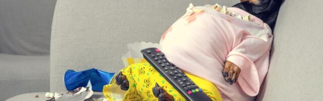 7 dana su jeli samo brzu hranu i došli do zapanjujućih rezultata