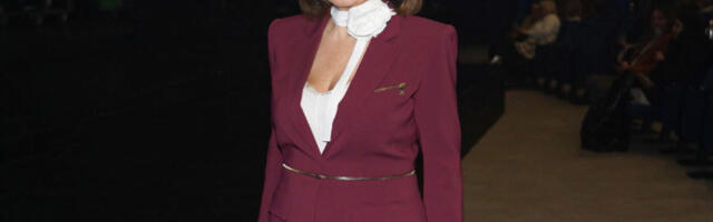 NEDA UKRADEN pokazala ko je kraljica Balkana: Na sceni žešća od Tine Tarner, a haljina kao milion dolara! (VIDEO)