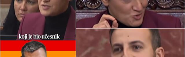 GEJ AFERA U SKUPŠTINI, DRUGI DEO! Cela sala opet prasnula u smeh! Brnabić: E, znate šta Pajiću, neću primeniti 103, zato što ste super pričali! BRAT MOJ! VIDEO