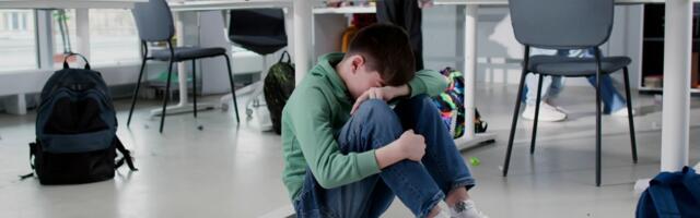 Oglasila se osnovna škola iz Inđije o vršnjačkom nasilju: "Pod velikim pritiskom iscrpeli smo sve resurse"