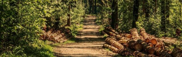 WWF: Srbija 16. maja ulazi u ekološki dug