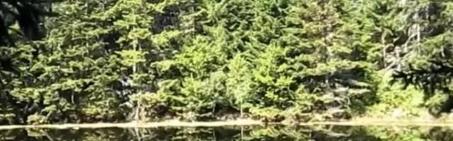 Mnogi ni ne znaju da u Srbiji postoji ovaj skriveni dragulj: Veruje se da su baš ovde živele vile (FOTO)