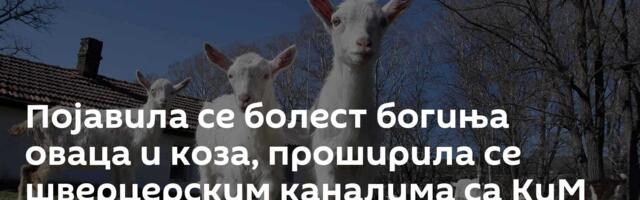 Појавила се болест богиња оваца и коза, проширила се шверцерским каналима са КиМ