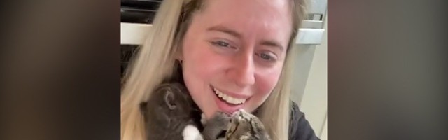 LJUBAV Pet mačića u naručju: Ma uživanje čisto (VIDEO)