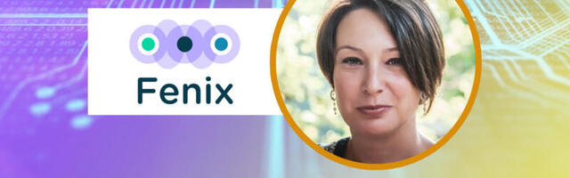 Deveto IT istraživanje plata i beneficija u Srbiji: Fenix otkriva najnovije trendove