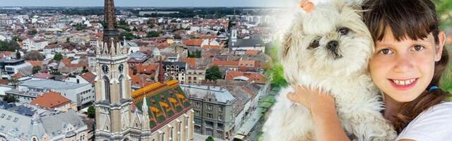 "E, pa, da se predstavim" Oglasila se žena koja je namazala pseći izmet detetu na glavu:  "Slobodno ospite paljbu po meni"