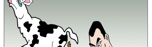 Corax za 6. decembar 2025.