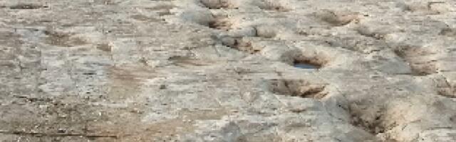 У Италији откривене хиљаде трагова диносауруса