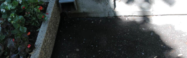 Doktorka se pred prolaznicima obesila o klimu! Nakon što je izgubila posao, umrla joj je majka, ali to nije sve