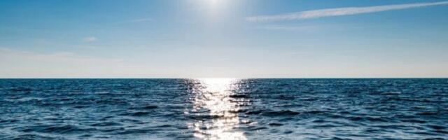 VANVREMENSKI Kad volite neku "budalu malu" (VIDEO)