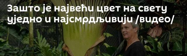 Зашто је највећи цвет на свету уједно и најсмрдљивији /видео/