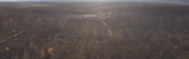 “Ovo je apokaliptično”: Sablasna “paučina” prekriva polja i šume u Ukrajini i širi se u nedogled (VIDEO)