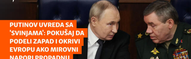 Putinov uvreda sa 'svinjama': Pokušaj da podeli Zapad i okrivi Evropu ako mirovni napori propadnu