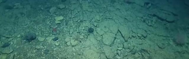 NEVEROVATNO OTKRIĆE KOD OBALE SEVASTOPOLJA: Iz dubine mraka je izronilo i zbunilo sve!