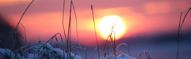 Sutra u Novom Sadu do 10 stepeni i pretežno sunčano