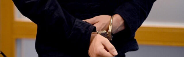 Тинејџер треба да плати 384.000 евра за пожар који је изазвао 2023.