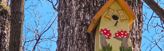 Sitnicama koje koštaju NULA DINARA možemo da ulepšamo grad, ali zašto nećemo? Dajemo nadležnima BESPLATNU IDEJU kako mogu da obraduju sugrađane