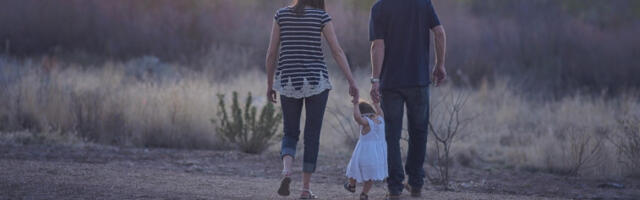 Циљ Породичног закона заштита деце и породице, а не кажњавање