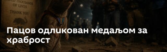 Пацов одликован медаљом за храброст
