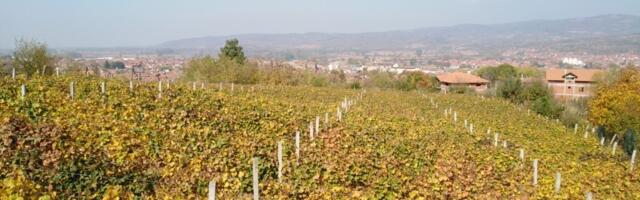 Vlasotince: Raspisan javni poziv za subvencije poljoprivrednicima