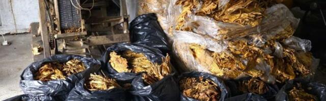 OŠTETIO BUDŽET SRBIJE SA PREKO 4,8 MILIONA DINARA! Velika zaplena u Golubincima: Policija pronašla skoro 430 kilograma DUVANA! (FOTO)
