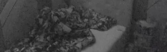 MOŽE LI SKANDALOZNIJE OD OVE VRELE AKCIJE?! Pripremite se, za ove scene Anite i Luke vam je potreban JAK ŽELUDAC!