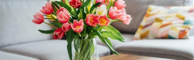 Tajna svežih lala: Besplatan trik zbog kog će trajati nedeljama u vazi - raskošne i prelepe