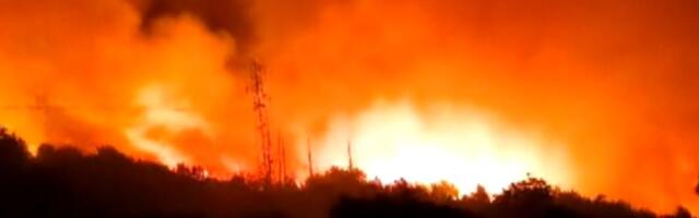 BUKNUO POŽAR U ISTRI, MOŽDA ĆE ZATREBATI KANADER: Vatra se brzo širi zbog bure, već izgorelo 10 hekrata trave i niskog rastinja, preti li opasnost po ljude?