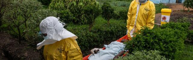 Nova tragedija u Kongu: Umrlo troje dobrovoljaca Crvenog krsta, sumnja se na ebolu